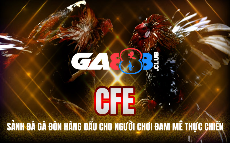 CFE – Sảnh Đá Gà Đòn Hàng Đầu Cho Người Chơi Đam Mê Thực Chiến
