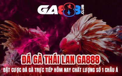 Đá Gà Thái Lan GA888 – Đặt Cược Đá Gà Trực Tiếp Hôm Nay Chất Lượng Số 1 Châu Á