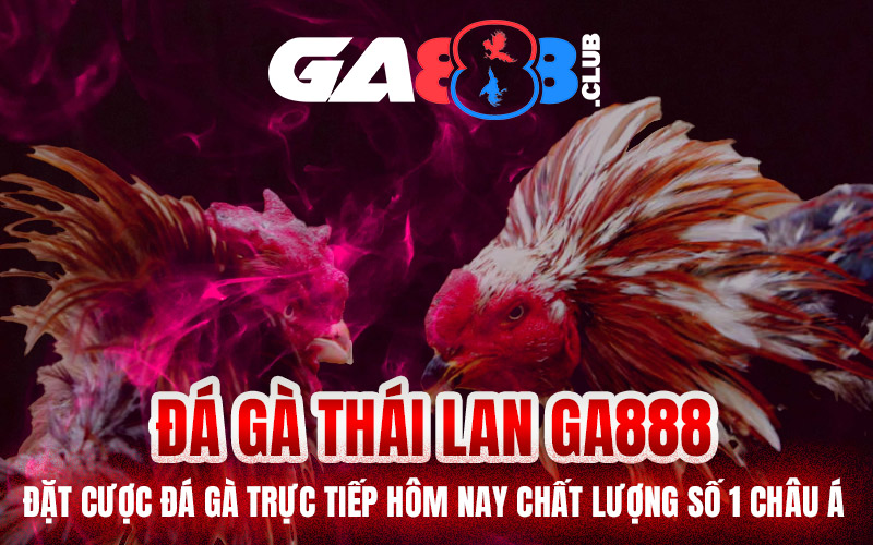 Đá Gà Thái Lan GA888 – Đặt Cược Đá Gà Trực Tiếp Hôm Nay Chất Lượng Số 1 Châu Á