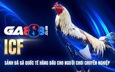ICF – Sảnh Đá Gà Quốc Tế Hàng Đầu Cho Người Chơi Chuyên Nghiệp