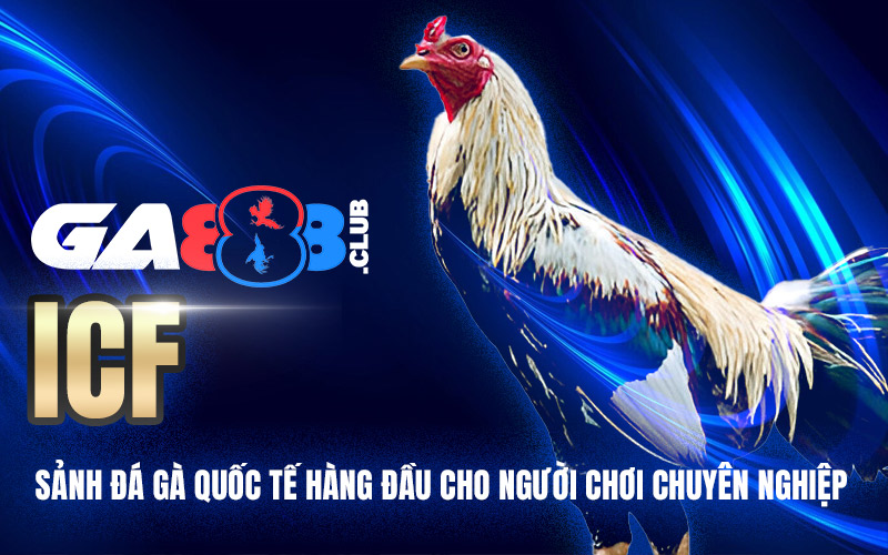 ICF – Sảnh Đá Gà Quốc Tế Hàng Đầu Cho Người Chơi Chuyên Nghiệp