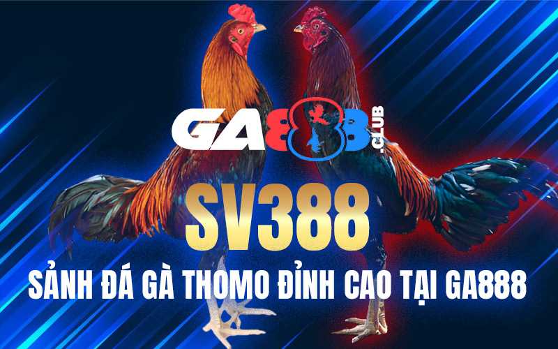 SV388 – Sảnh Đá Gà Thomo Đỉnh Cao Tại GA888