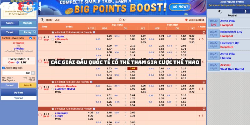 Các giải đấu quốc tế có thể tham gia cược thể thao